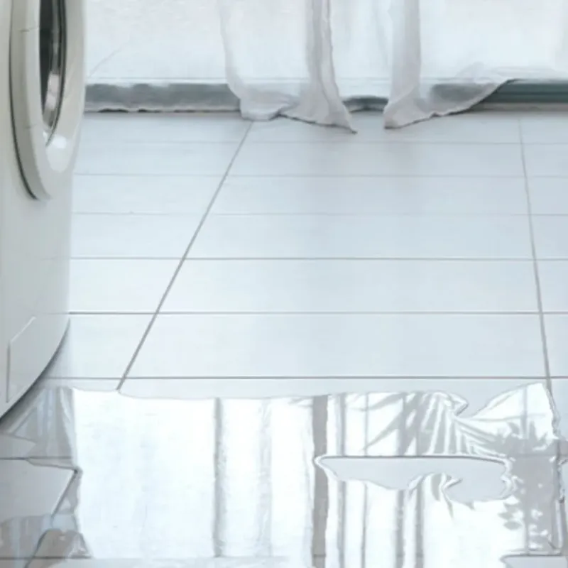 Appliance Leak Cleanup in Southern View, IL