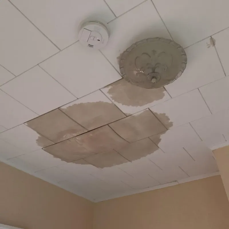 Ceiling Water Damage Repair in Southern View, IL