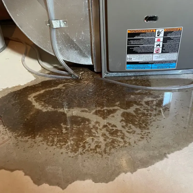Pipe Burst and Leak Restoration in Southern View, IL
