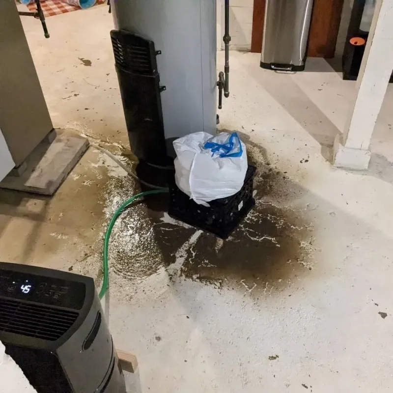 Sewage Backup Cleanup Service in Southern View, IL